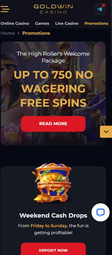 Goldwin Casino promotions on a mobile device